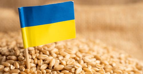 Porozumienie w sprawie zboża z Ukrainą! Tranzyt od środy będzie wyglądał inaczej...